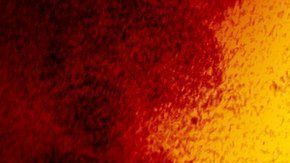 Según el último reporte de la OMS, emitido el domingo, había 87.000 personas contagiadas de coronavirus y alrededor de 2,800 muertes.