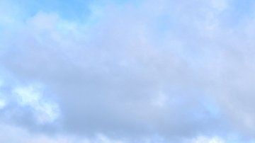Unas mil estatuas de piedra, conocidas como moáis, se alzan en la Isla de Pascua.