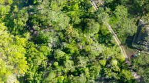 El Sacbe 1 tiene una longitud de 100 km.