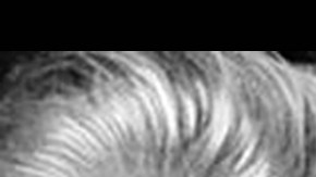 Beatrice Webb, Joan Robinson y Anna Schwartz son sólo tres ejemplos de mujeres que hicieron importantes aportes al pensamiento económico.