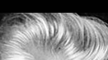 Beatrice Webb, Joan Robinson y Anna Schwartz son sólo tres ejemplos de mujeres que hicieron importantes aportes al pensamiento económico.