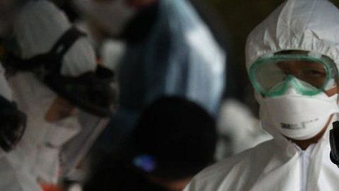 En Corea del Sur se han presentado 63 muertes por coronavirus.