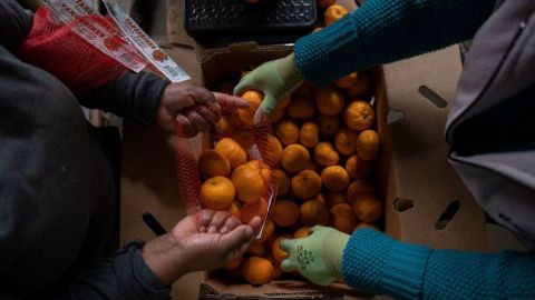 El jugo de naranja se convirtió en el activo con mejor desempeño en lo que va del año.