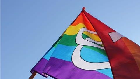 Una bandera gay ondea en una multitudinaria concentración a las puertas del Tribunal Supremo de EEUU.