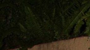 Biby Gaytán y Eduardo Capetillo.