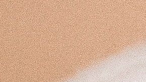 Trump promueve en el Congreso un plan de estímulo fiscal por el coronavirus.