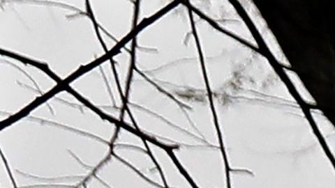 En la ciudad de Nueva York han muerto 776 personas.