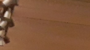 Los negocios de Joe Germanotta en Grand Central, NYC