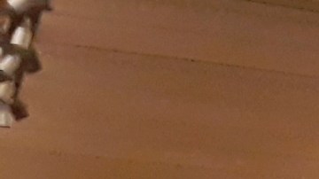 Los negocios de Joe Germanotta en Grand Central, NYC