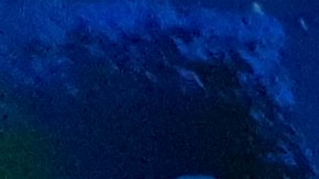 Un paseo muy "animado" en tren