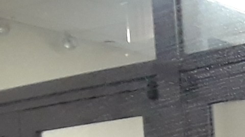 NY paralizada y en emergencia de plazo indeterminado