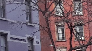 Panorama sombrío en Nueva York