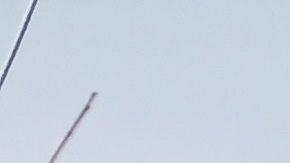 La mayor parte de las muertes se dieron en el condado de Putman.