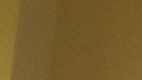 Epidemia de coronavirus.