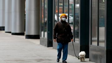 Una mujer camina a su perrito por la calle 42 de Nueva York.