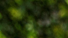 El riesgo es mayor en personas mayores y en enfermos.