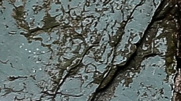 Un hombre en Quito camina frente a un letrero que pide permanecer en casa.