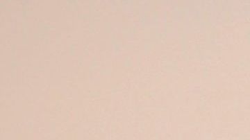 Chiquinquirá Delgado, acompañada de su novio, el periodista Jorge Ramos.