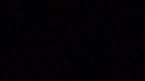 Las autoridades piden no viajar en crucero.