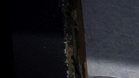 Las autoridades revelaron que el fallecido es un adulto mayor.