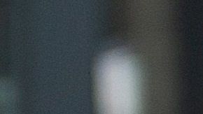 Los únicos estados que no han registrado muertes son Hawai y Wyoming.