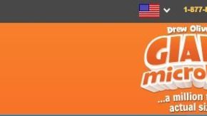 Foto por https://www.giantmicrobes.com/us/