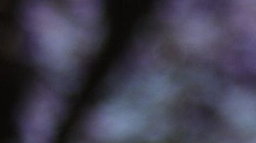 El podcast va dirigido a la audiencia de habla hispana.