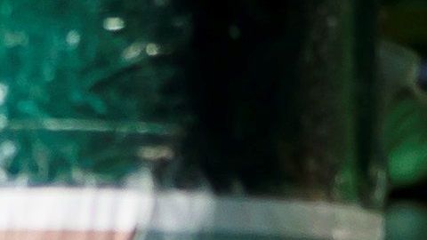 El 80% de los infectados mexicanos son casos importados.