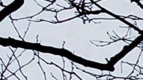 Battery Park: extremo suroeste de Manhattan, Nueva York.