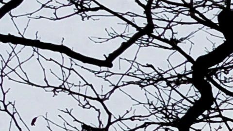 Battery Park: extremo suroeste de Manhattan, Nueva York.