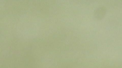 EL 'Cholo' Simeone durante una de las prácticas previas al partido contra la Juventus.