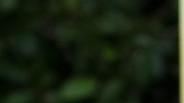 Michael Canalé es a quien Jennifer Aniston le confía su famosa melena desde su etapa en 'Friends'