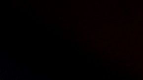 Pelosi considera que no hay confianza en la Casa Blanca.