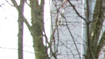 La mayor parte de los contagios se dieron en el centro médico Evergreen.