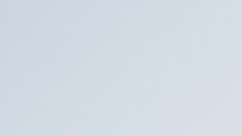 Virtudes y defectos del zodiaco.