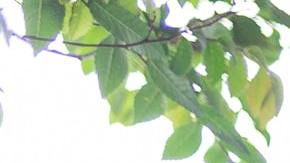 El hecho ocurrió en una iglesia.