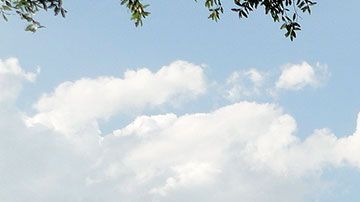 Disney ha explicado que ha instalado desinfectantes de manos adicionales en sus parques.