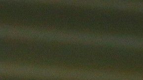 El portero de Pumas es tiene el apoyo de un excompañero.