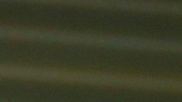 El portero de Pumas es tiene el apoyo de un excompañero.