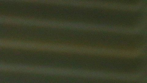 El portero de Pumas es tiene el apoyo de un excompañero.