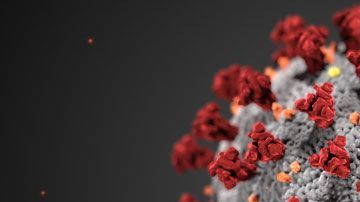 Animación del coronavirus.