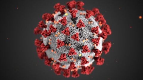 Animación del coronavirus.