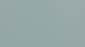 Nathan Roe, de 18 años, ahora está en la cárcel de Miami.