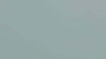 Nathan Roe, de 18 años, ahora está en la cárcel de Miami.