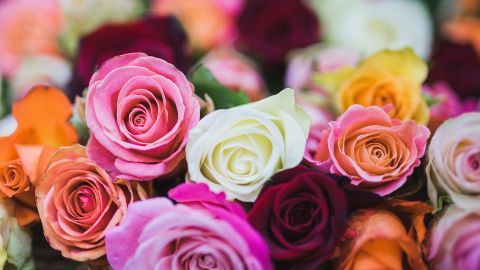Cada signo tiene una flor preferida.