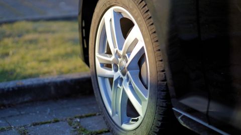 Las llantas de un auto resultan un verdadero paraíso para los caninos y una oportunidad de llegar a lugares recónditos.