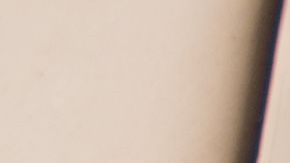 Parecen inofensivos, pero no lo son...