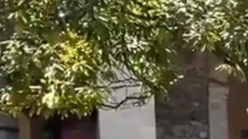 La Primera Dama mexicana apoya los esfuerzos del Gobierno de su país en la lucha contra el coronavirus.