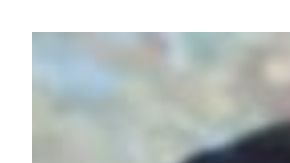 Pensó que teniendo a su familia a cuadro todo saldría a la perfección, pero no.