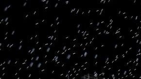 Boca Juniors conquistó una nueva liga en Argentina.